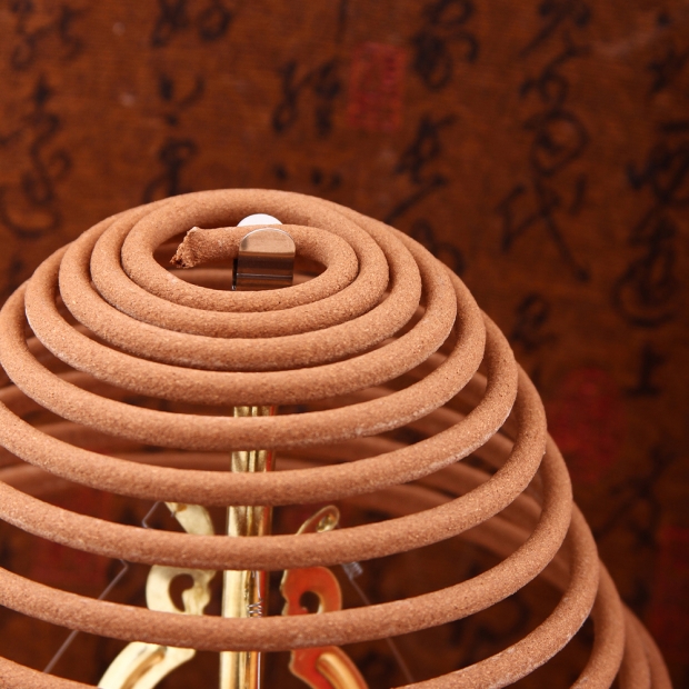 IMG_2557 100x100.jpg