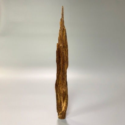 47x5_1000.jpg